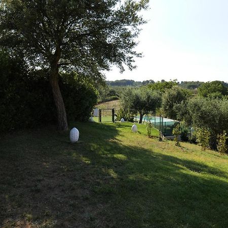 Il Borgo Delle Querce Villa Fichi Piscina Privata 马丁纳弗兰卡 外观 照片